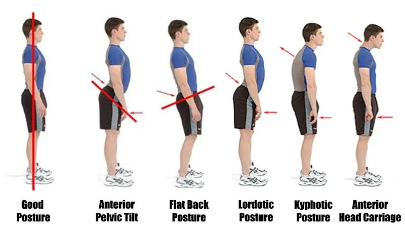 How We Track Progress at Roots Chiropractic 4 Observation